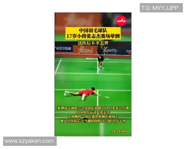 杭州羽毛球队运动员个人能力分析及其对比赛成绩的影响研究 杭州羽毛球队运动员个人能力分析及其对比赛成绩的影响研究